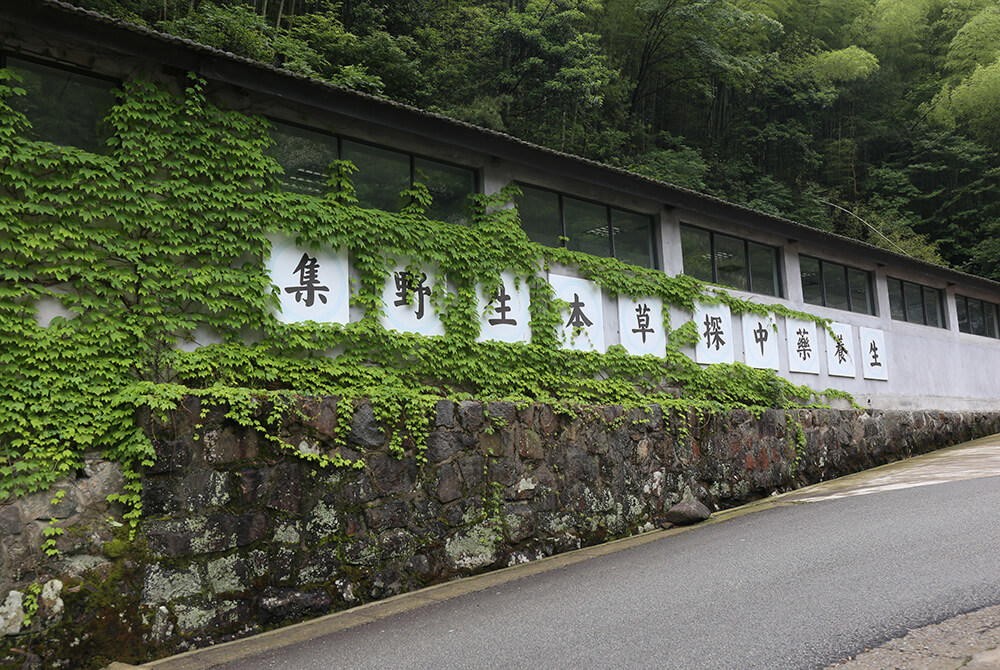 山庄春景