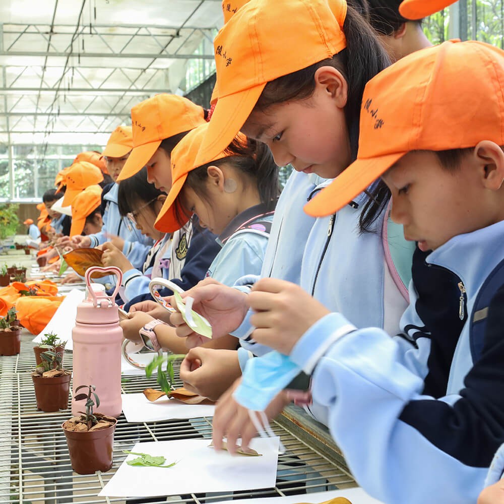子陵小学研学活动