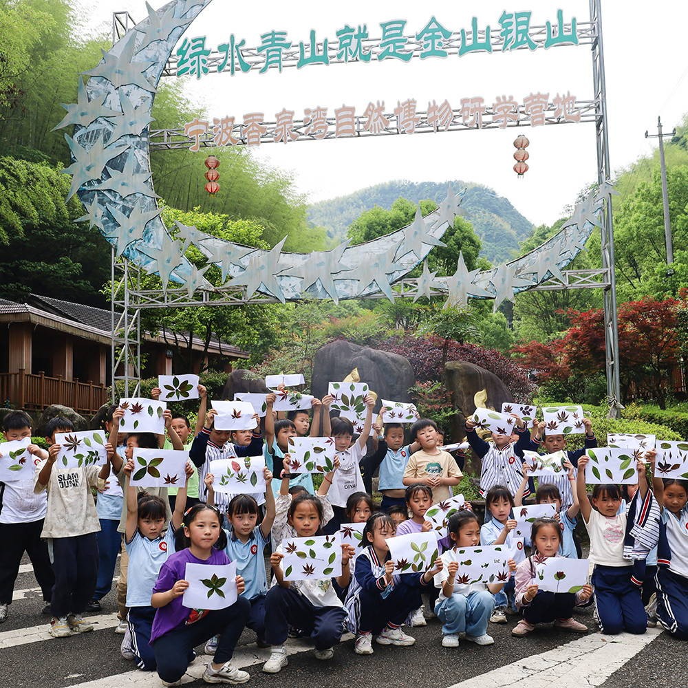 丰北小学研学活动